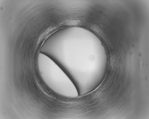 X0000056380682200508260946