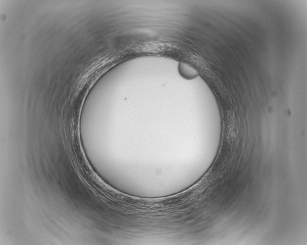 X0000056380683200508260946