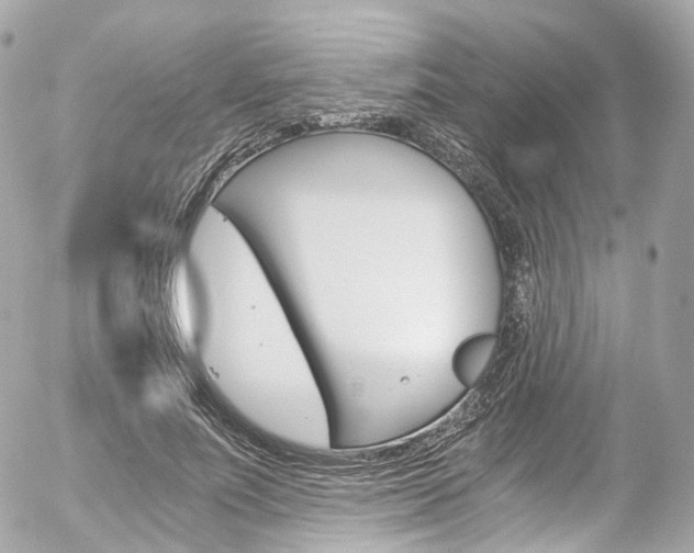 X0000056380691200508260946