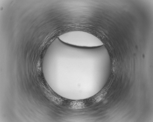 X0000056380714200508260946