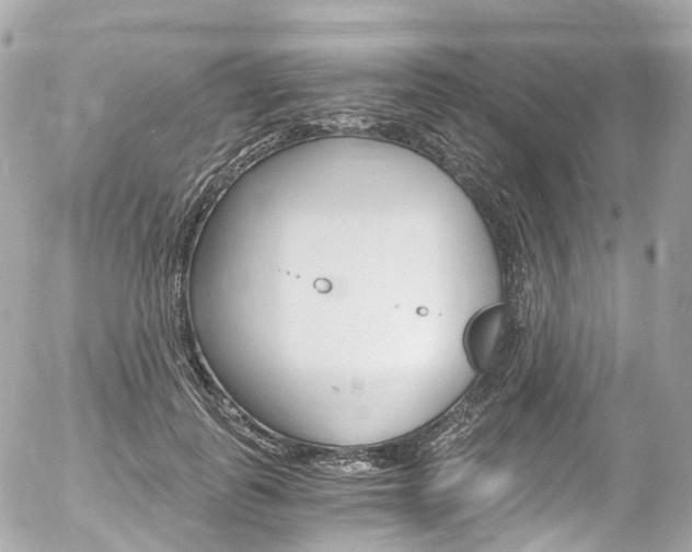 X0000056380747200508260945