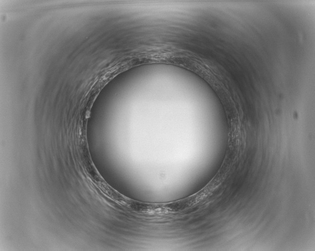 X0000056380752200508260945