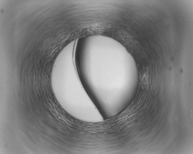 X0000056380772200508260945