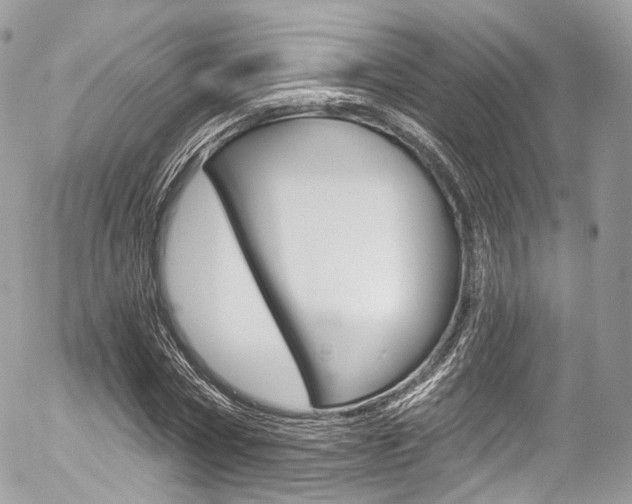 X0000056380778200508260945