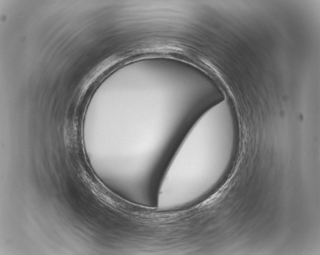 X0000056380779200508260945