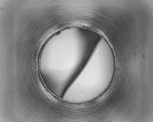 X0000056380795200508260944