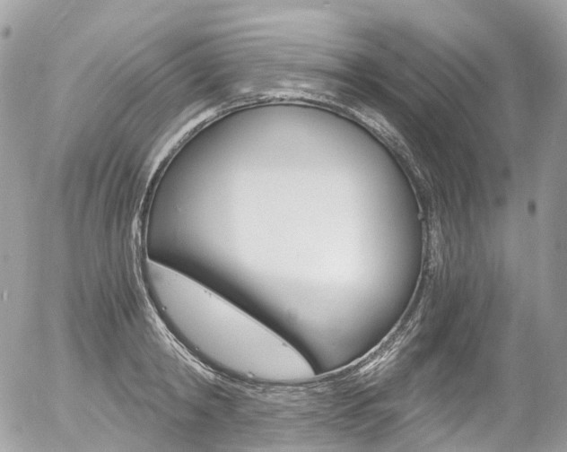 X0000056380798200508260944