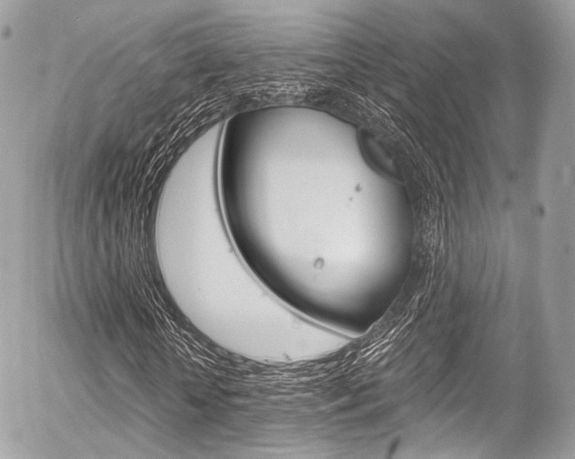 X0000056380818200508260943