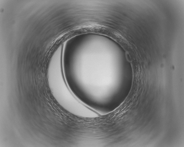 X0000056380822200508260943