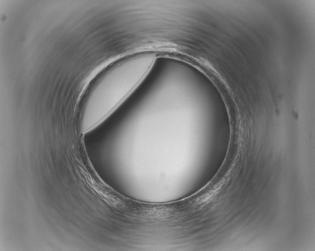 X0000056380830200508260943