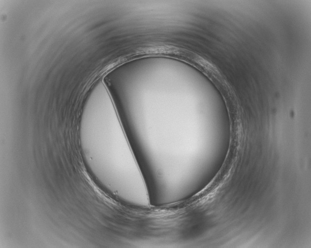 X0000056380841200508260944