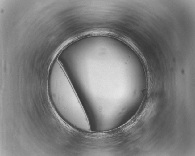 X0000056380853200508260944