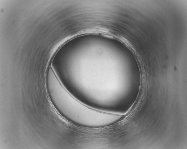 X0000056380854200508260944