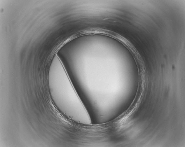 X0000056380857200508260944