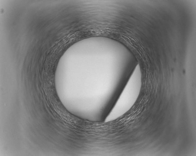 X0000056380865200508260943