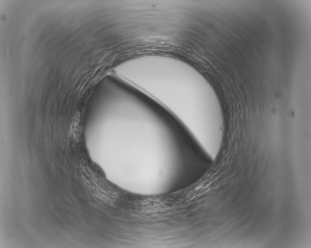 X0000056380867200508260943