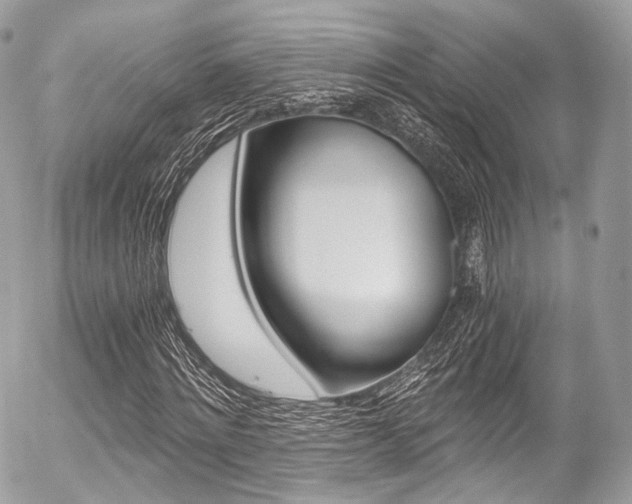 X0000056380868200508260943