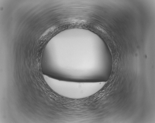 X0000056380869200508260943