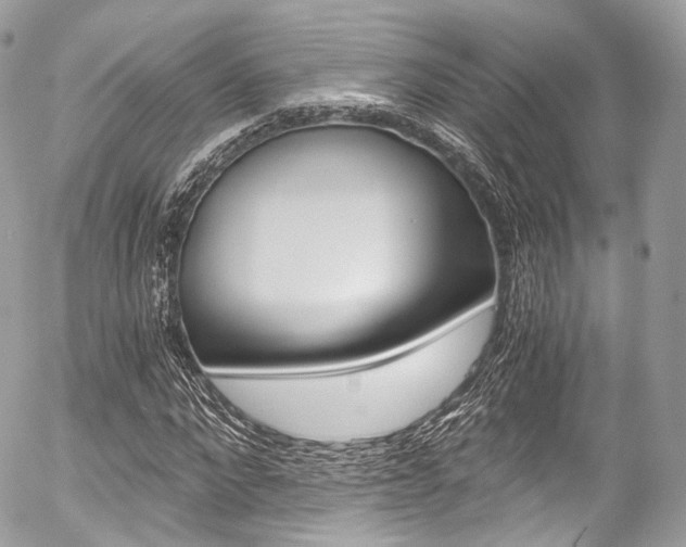 X0000056380872200508260943
