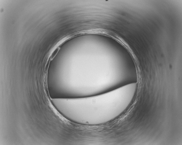 X0000056380909200508260942