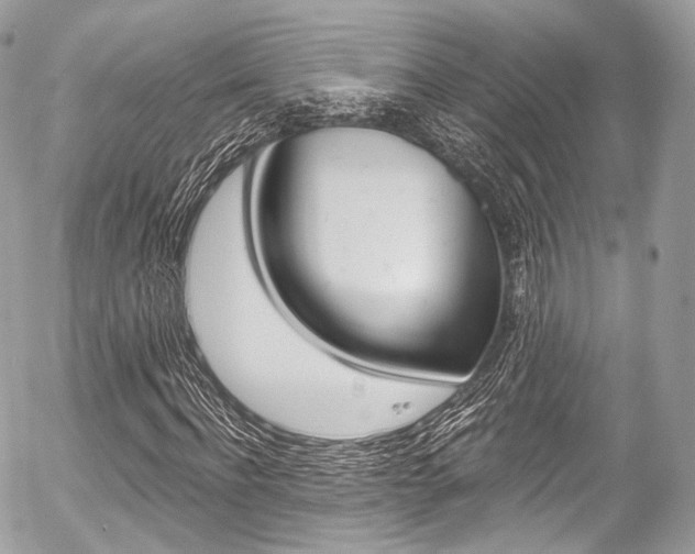 X0000056380916200508260942