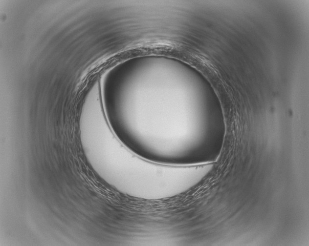 X0000056380920200508260942