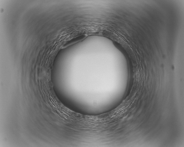 X0000056380961200508260942