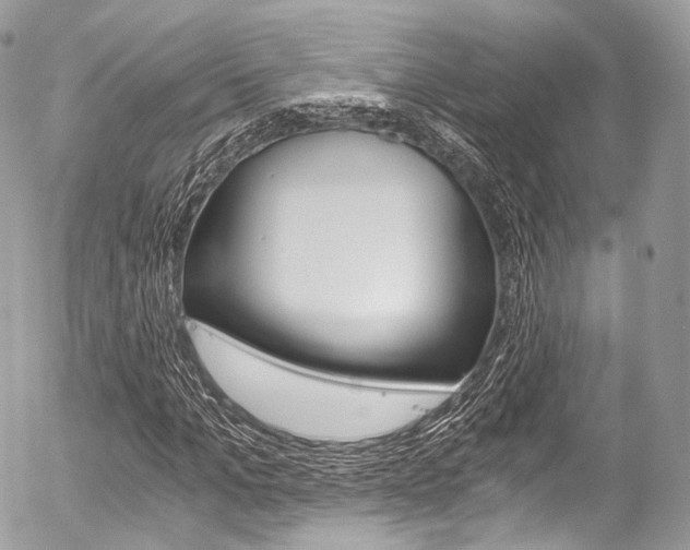 X0000056380965200508260941