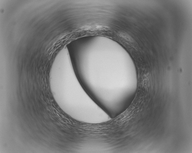 X0000056380966200508260941