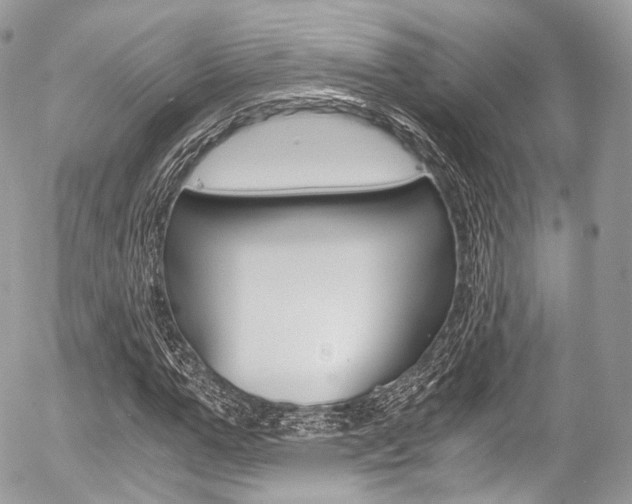 X0000056380967200508260941