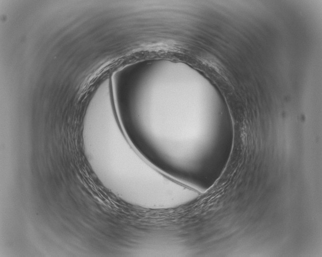 X0000056380968200508260941