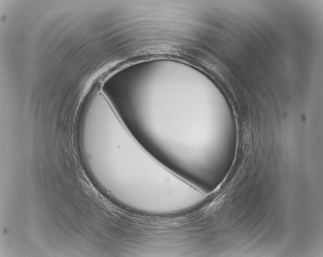 X0000056380979200508260941