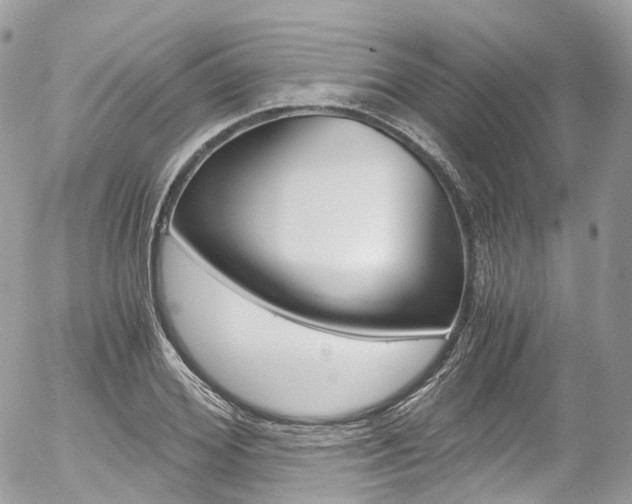 X0000056380980200508260941