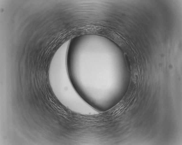 X0000056381010200508260940
