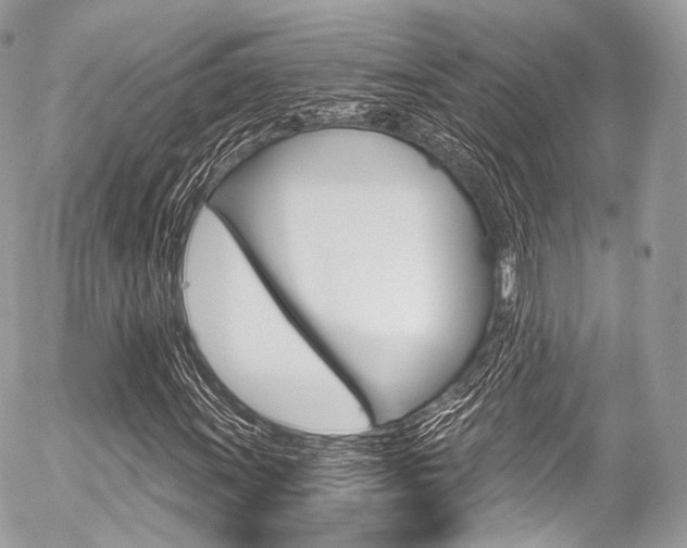 X0000056381011200508260940