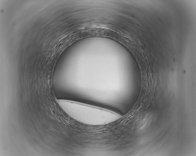 X0000056381013200508260940