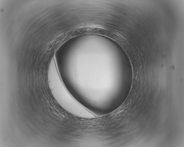 X0000056381014200508260940