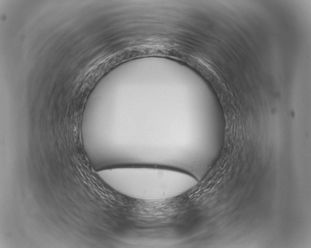 X0000056381015200508260940
