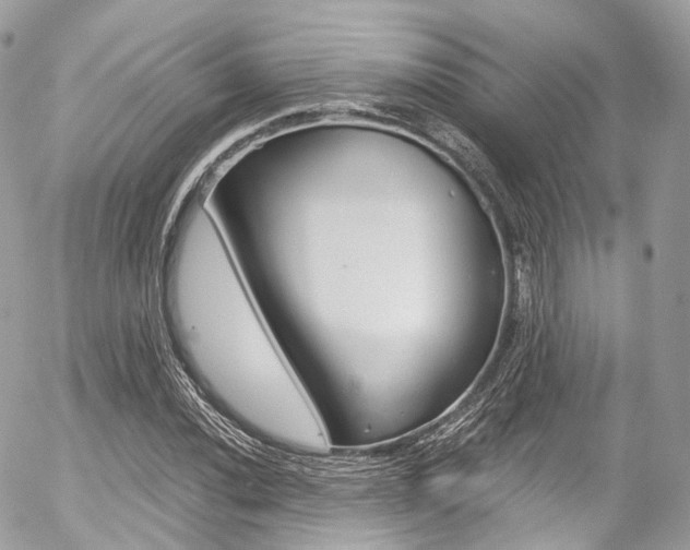 X0000056381020200508260940