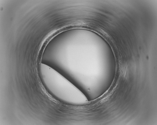 X0000056381029200508260940