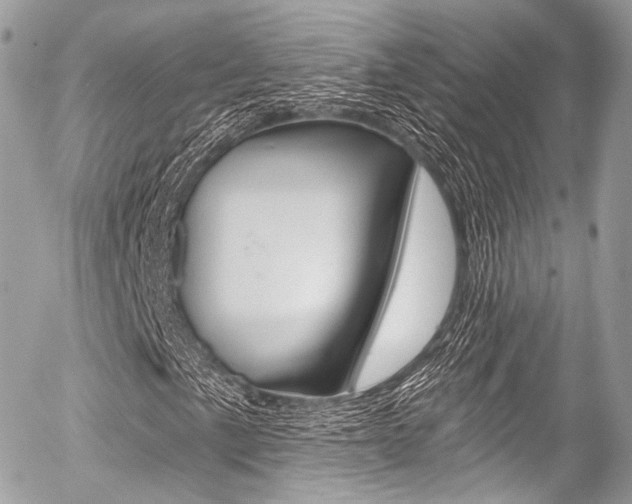 X0000056381057200508260940