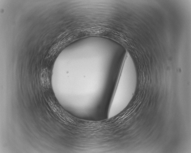 X0000056381058200508260940