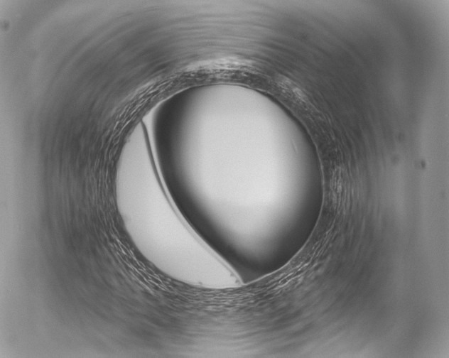 X0000056381062200508260940