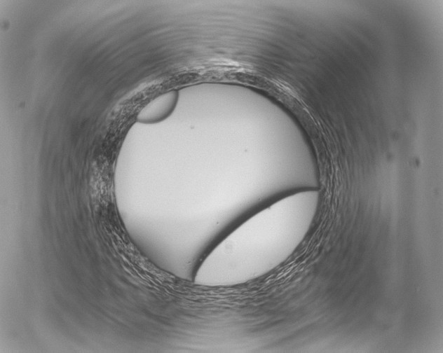 X0000056381063200508260940
