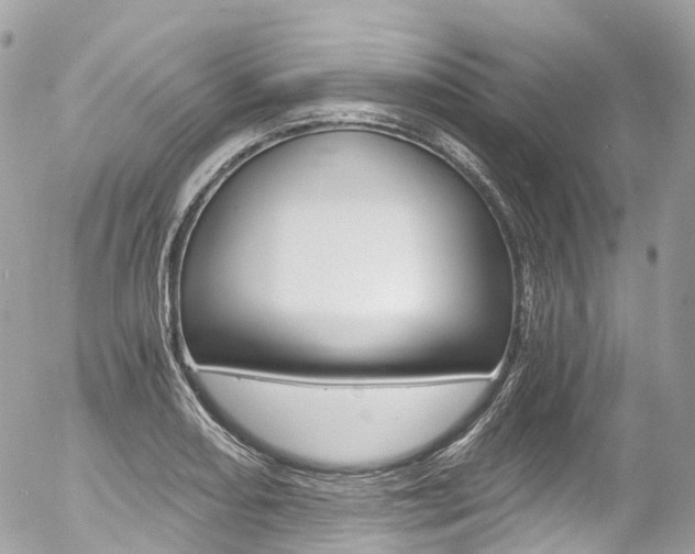 X0000056381082200508260940