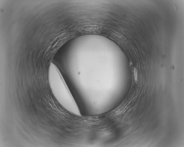 X0000056381107200508260938