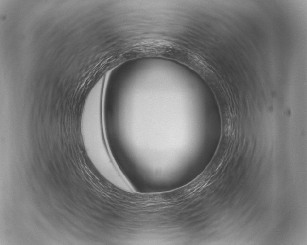X0000056381108200508260938