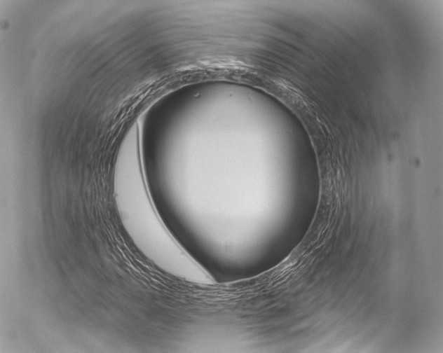 X0000056381110200508260939