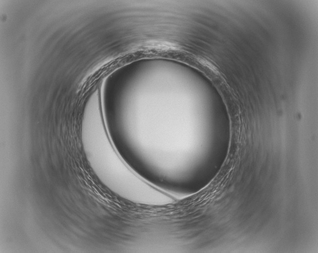 X0000056381112200508260939