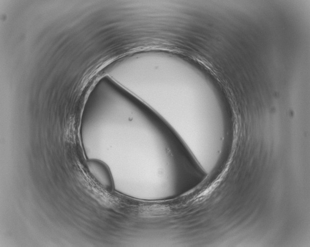 X0000056381113200508260939